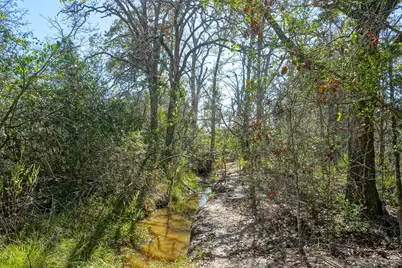 Lot 6 County Road 229, Bedias, TX 77831 - Photo 7