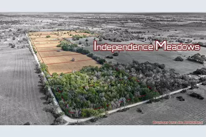 Lot 6 County Road 229, Bedias, TX 77831 - Photo 5