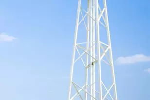 2866 Orange Leaf Dr, Fulshear, TX 77423 - Photo 37