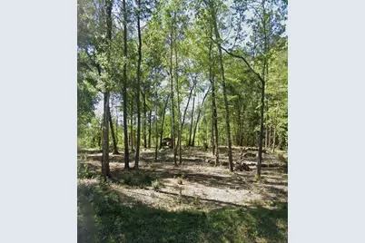 000 Sherwood Drive, Shepherd, TX 77371 - Photo 3