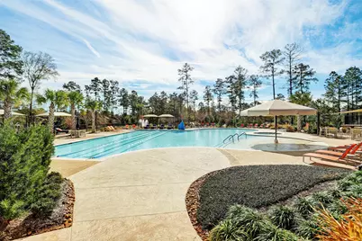 109 Crinium Lily Court, Montgomery, TX 77316 - Photo 49