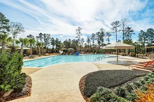 109 Crinium Lily Ct, Montgomery, TX 77316 - Photo 49