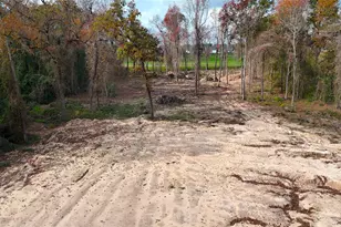 27003 Springwood Dr, Magnolia, TX 77354 - Photo 7