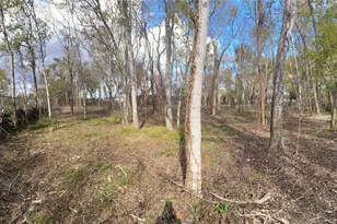 13708 Almeda School Rd, Houston, TX 77047 - Photo 3