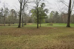 512 County Rd 2222, Cleveland, TX 77327 - Photo 9