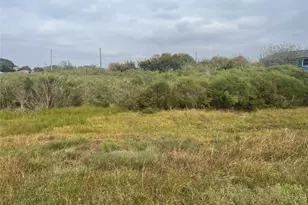 0 Hwy 6, Hitchcock, TX 77563 - Photo 3