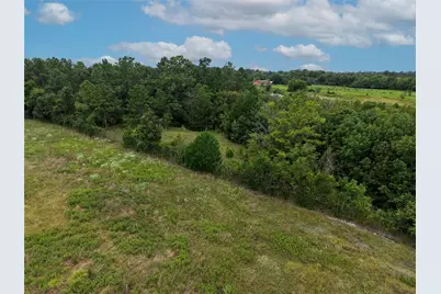 Tbd Fm 2819, Anderson, TX 77830 - Photo 7