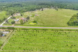 6982 S State Hwy 94, Trinity, TX 75862 - Photo 33