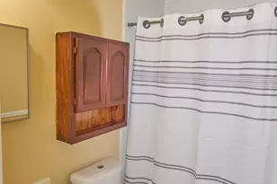 219 Fort Sumter Ct, Richmond, TX 77469 - Photo 21