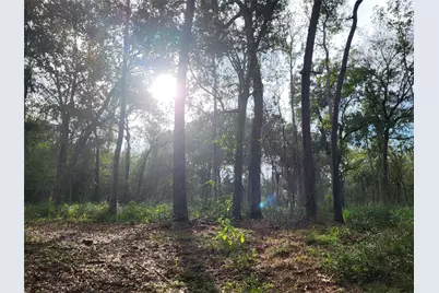 27055 Sandy Creek, Magnolia, TX 77355 - Photo 19