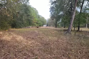 27055 Sandy Creek, Magnolia, TX 77355 - Photo 7