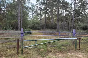 27055 Sandy Creek, Magnolia, TX 77355 - Photo 3