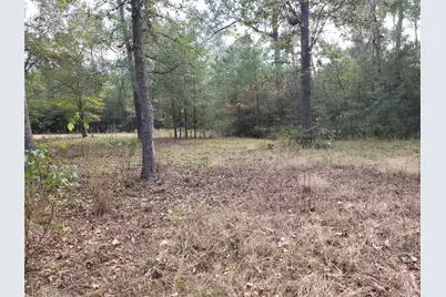 27055 Sandy Creek, Magnolia, TX 77355 - Photo 9