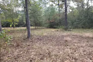 27055 Sandy Creek, Magnolia, TX 77355 - Photo 9