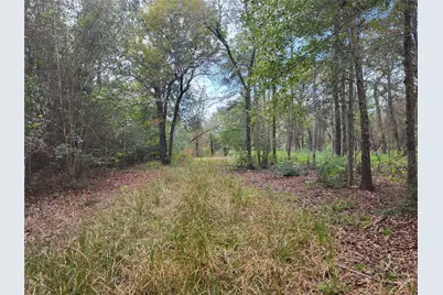 27055 Sandy Creek, Magnolia, TX 77355 - Photo 15