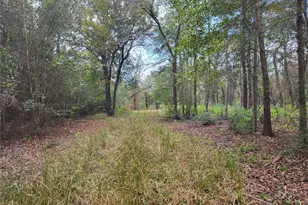 27055 Sandy Creek, Magnolia, TX 77355 - Photo 15