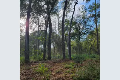 27055 Sandy Creek, Magnolia, TX 77355 - Photo 5