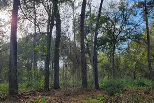 27055 Sandy Creek, Magnolia, TX 77355 - Photo 5