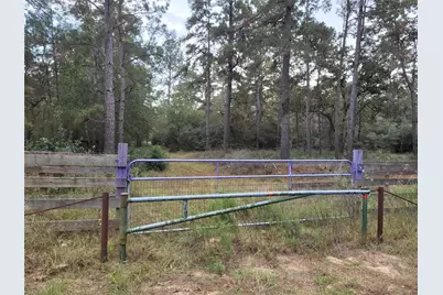 27055 Sandy Creek, Magnolia, TX 77355 - Photo 3