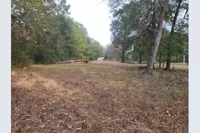27055 Sandy Creek, Magnolia, TX 77355 - Photo 7
