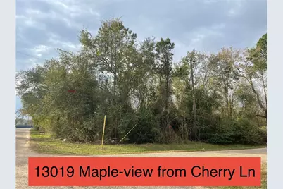 13019 Maple Street, Crosby, TX 77532 - Photo 3