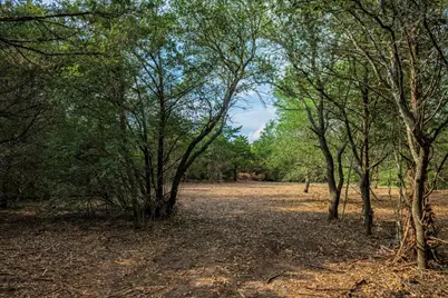 468 (Lot 16) Vineyard View Trail, Carmine, TX 78932 - Photo 7