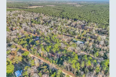 156 Bald Eagle Drive, Livingston, TX 77351 - Photo 29