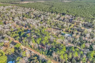 156 Bald Eagle Dr, Livingston, TX 77351 - Photo 29