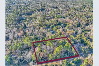 156 Bald Eagle Drive, Livingston, TX 77351 - Photo 21