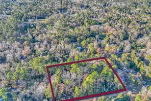 156 Bald Eagle Dr, Livingston, TX 77351 - Photo 21