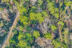 156 Bald Eagle Dr, Livingston, TX 77351 - Photo 23