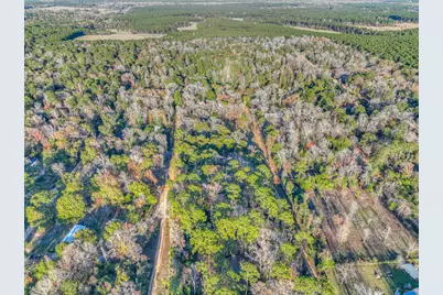 156 Bald Eagle Drive, Livingston, TX 77351 - Photo 25