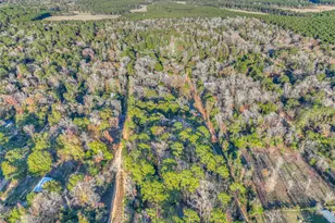 156 Bald Eagle Dr, Livingston, TX 77351 - Photo 25