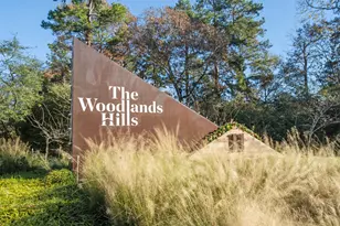 122 Artisan Ridge Dr, Conroe, TX 77318 - Photo 29