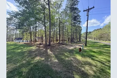 141 Wentworth Lane, Coldspring, TX 77331 - Photo 5