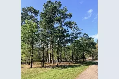 141 Wentworth Lane, Coldspring, TX 77331 - Photo 1