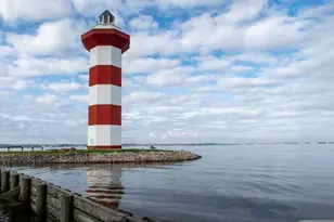 11834 Serena's Song Dr, Willis, TX 77318 - Photo 19