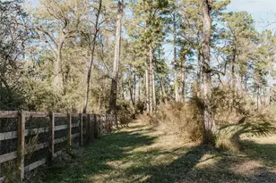 16120 Hartman Rd, Magnolia, TX 77355 - Photo 41