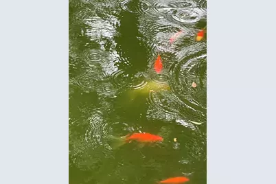 4628 Roseneath Drive #A, Houston, TX 77021 - Photo 15