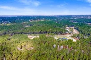 10883 Ruger Rd, Willis, TX 77378 - Photo 5