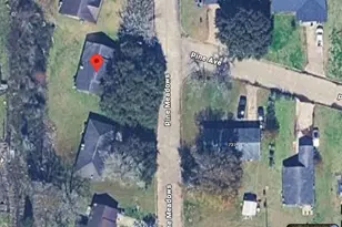 164 Pine Meadows, Prairie View, TX 77445 - Photo 15