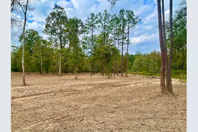 11766 Grand North Road, Willis, TX 77378 - Photo 5