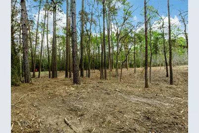 Lot 11 Mayhaw Lane, Plantersville, TX 77363 - Photo 1