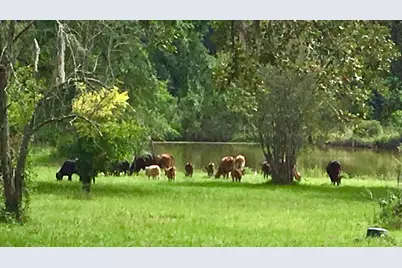 00005 Nelson Road, Hempstead, TX 77445 - Photo 11