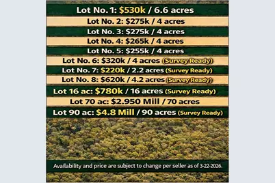 00005 Nelson Road, Hempstead, TX 77445 - Photo 3