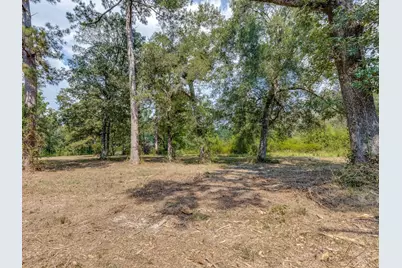 1094 Cr 2060, Hull, TX 77564 - Photo 9
