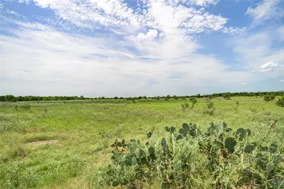 Tbd Fm 2237, Flatonia, TX 78941 - Photo 7