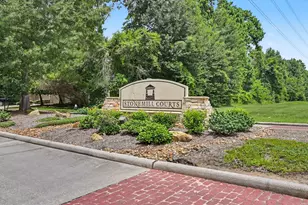 73 Scarlet Woods Ct, The Woodlands, TX 77380 - Photo 25