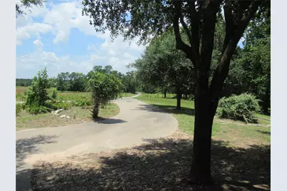 11501 Fm 356, Trinity, TX 75862 - Photo 9