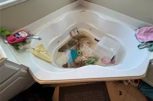 7114 Sierra Night Dr, Richmond, TX 77407 - Photo 11